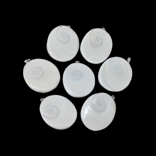 Shiva Shell, Pacific Cat's Eye Shell, Operculum, Gastropod Oval Pendant-0